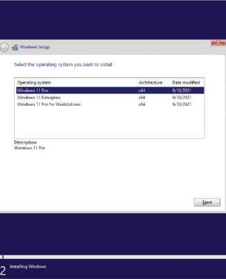 Download Windows 11 AIO v21H2 build 22000.100 miễn phí-06